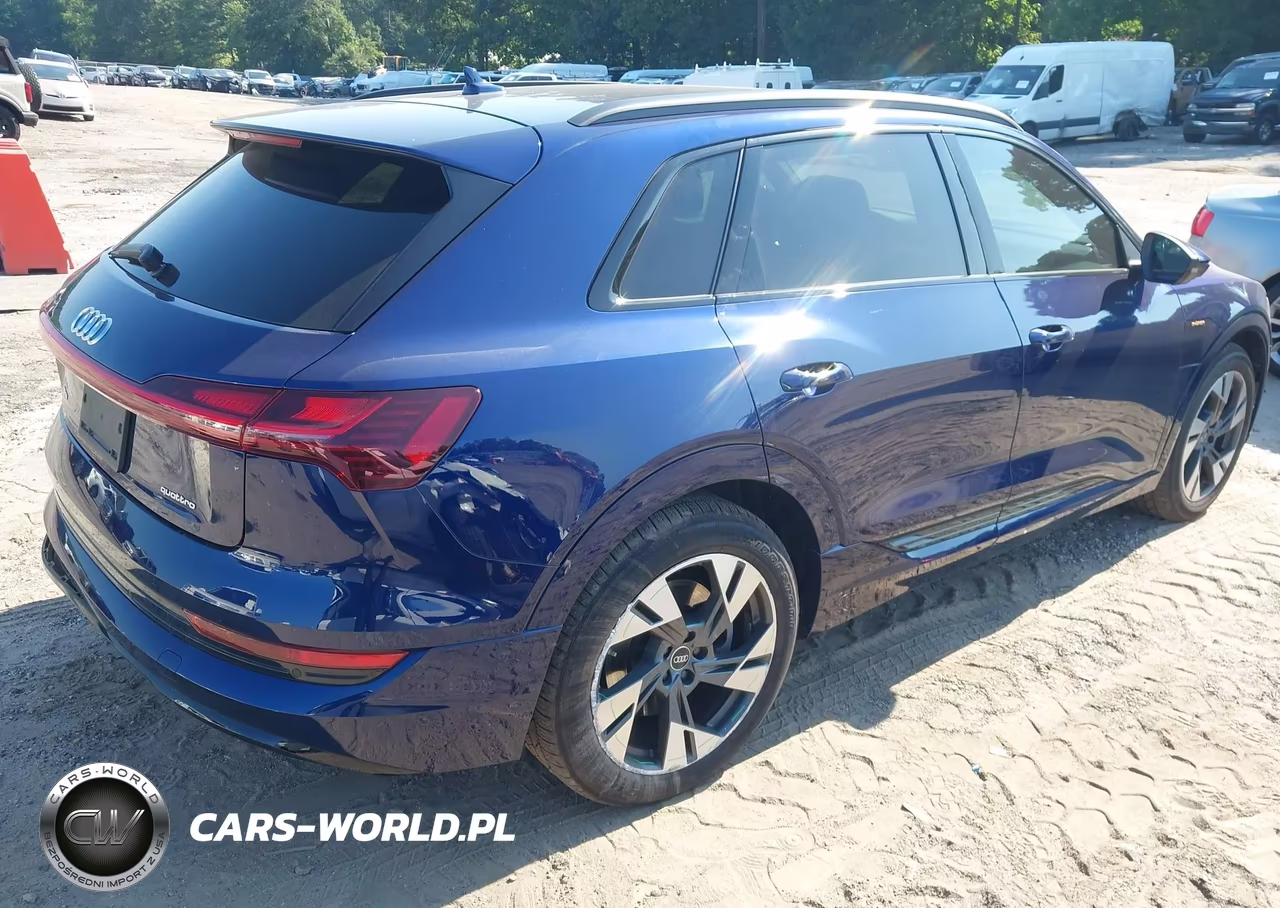 2022 Audi E-Tron Premium Quattro VIN:WA1AAAGE4NB012120 - 4