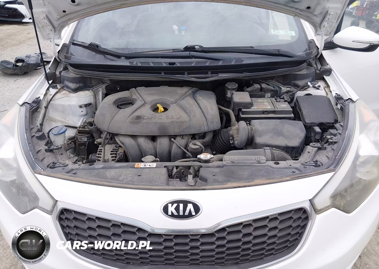 2015 Kia Forte Lx VIN:KNAFX4A69F5281725 - 10