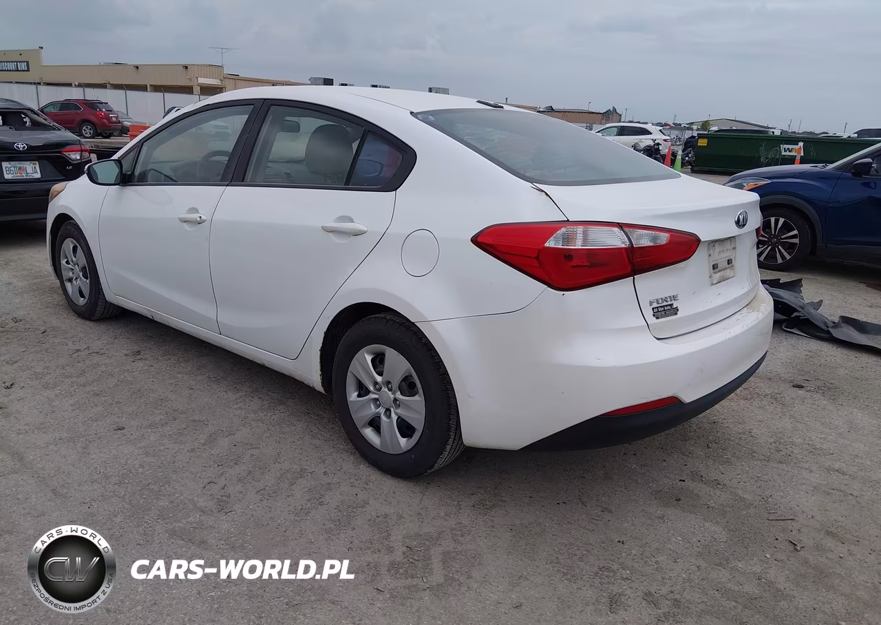 2015 Kia Forte Lx VIN:KNAFX4A69F5281725 - 3