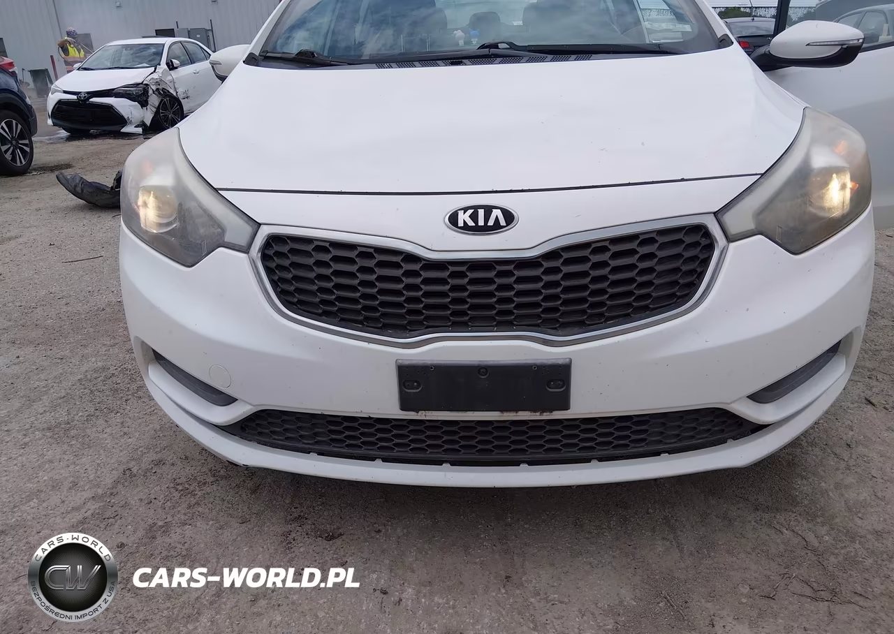 2015 Kia Forte Lx VIN:KNAFX4A69F5281725 - 6