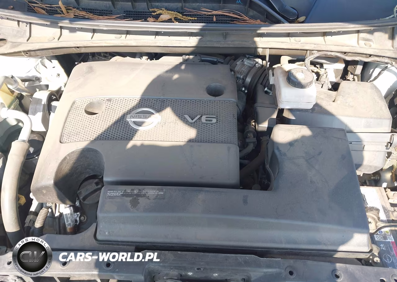2019 Nissan Murano Platinum VIN:5N1AZ2MJ7KN115530 - 10