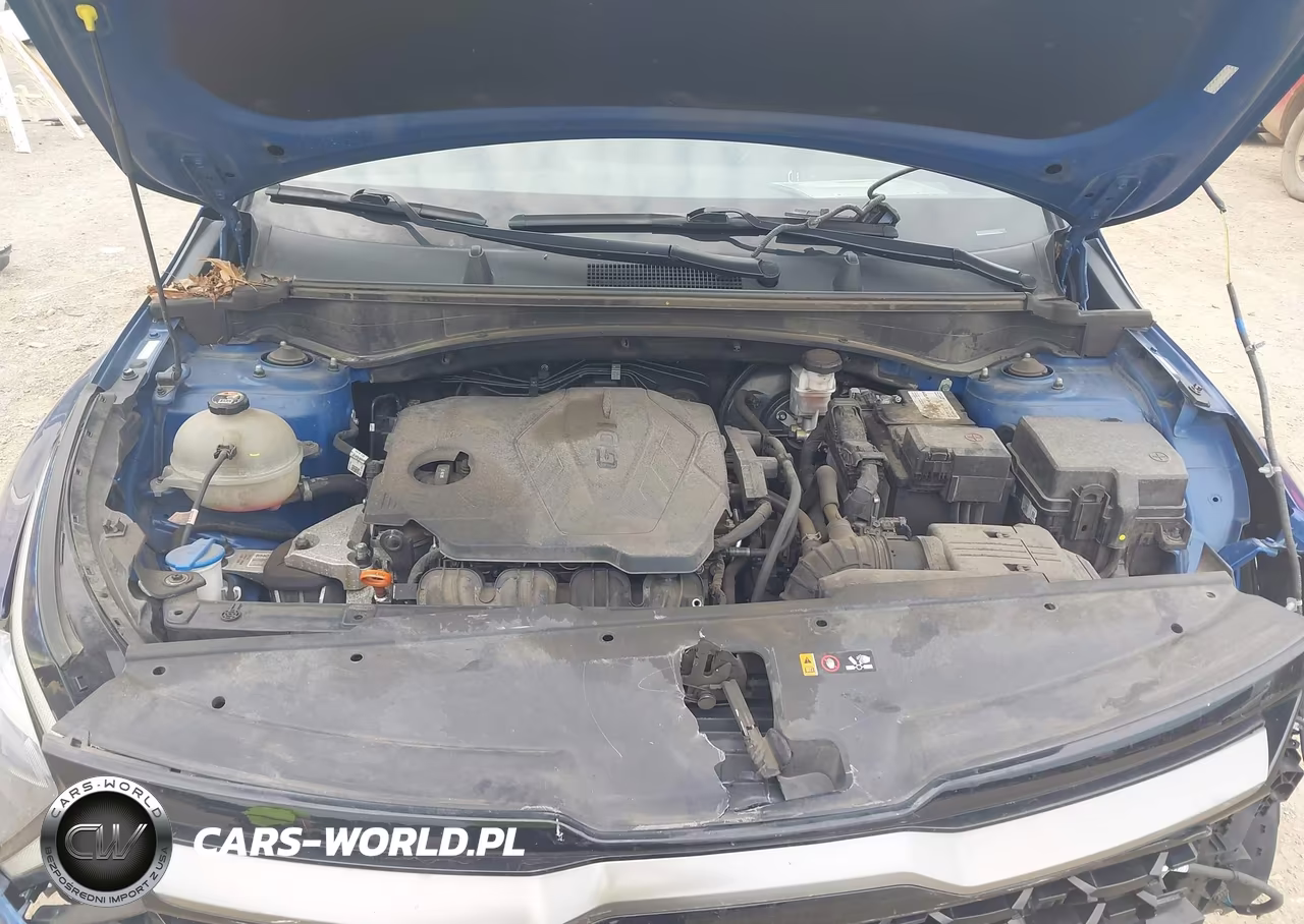 2023 Kia Sportage X-Pro VIN:5XYK7CAF6PG011579 - 10