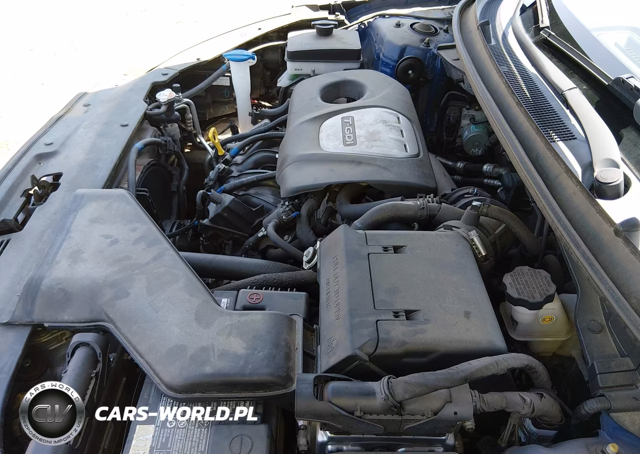 2019 Hyundai Sonata Eco VIN:5NPE24AA7KH803411 - 10