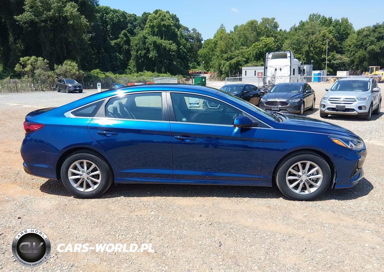2019 Hyundai Sonata Eco VIN:5NPE24AA7KH803411 - 16