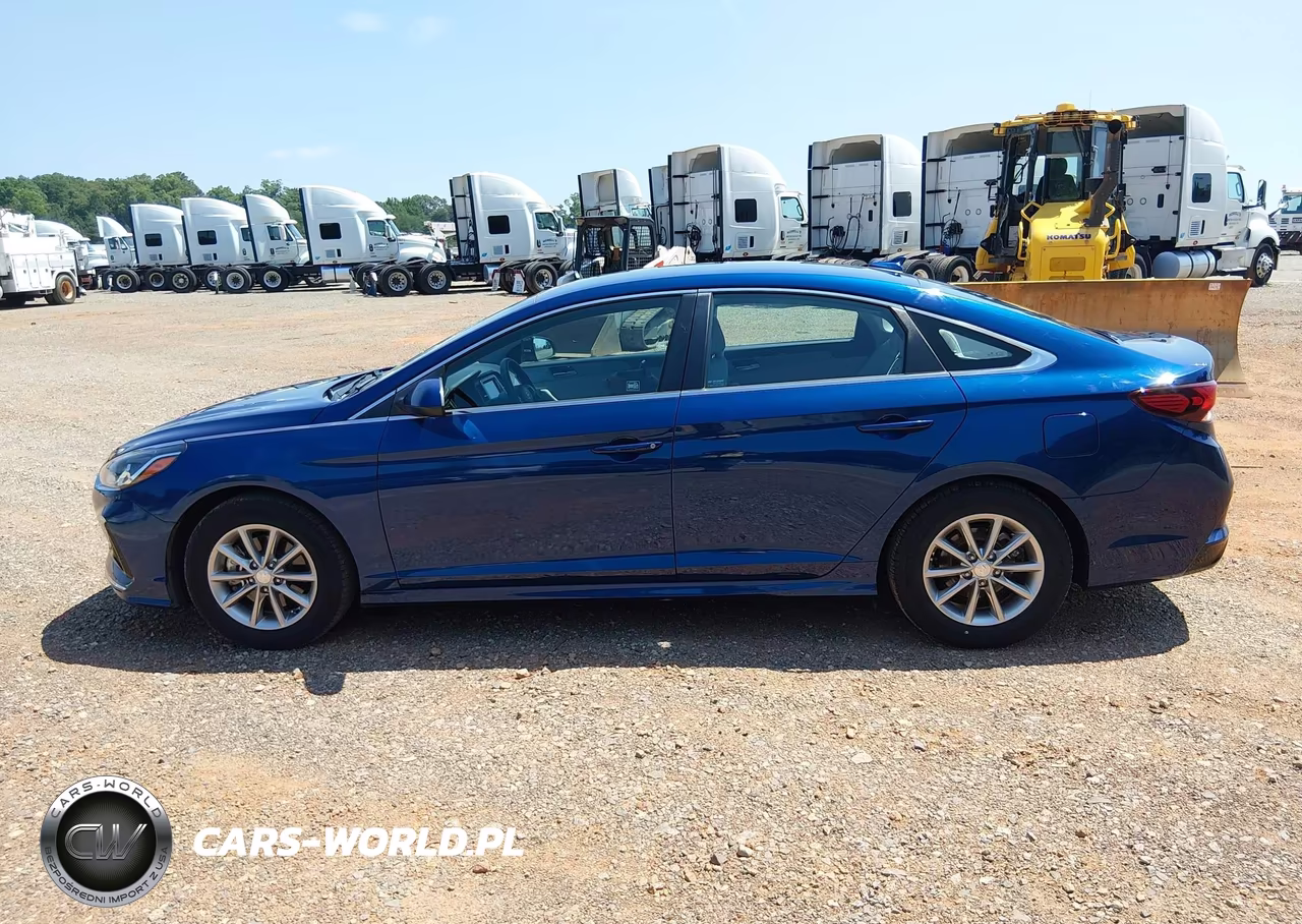 2019 Hyundai Sonata Eco VIN:5NPE24AA7KH803411 - 17