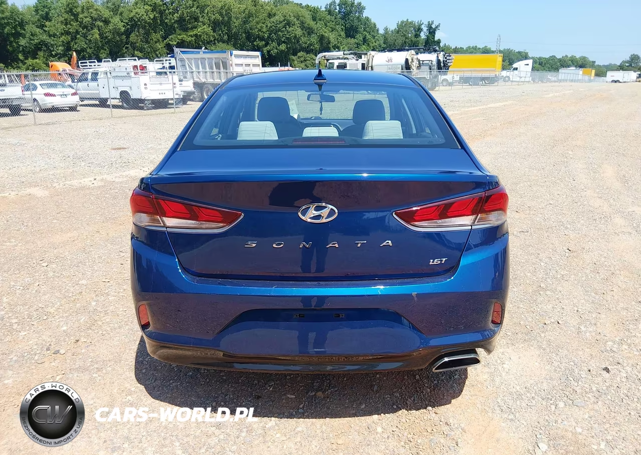2019 Hyundai Sonata Eco VIN:5NPE24AA7KH803411 - 19