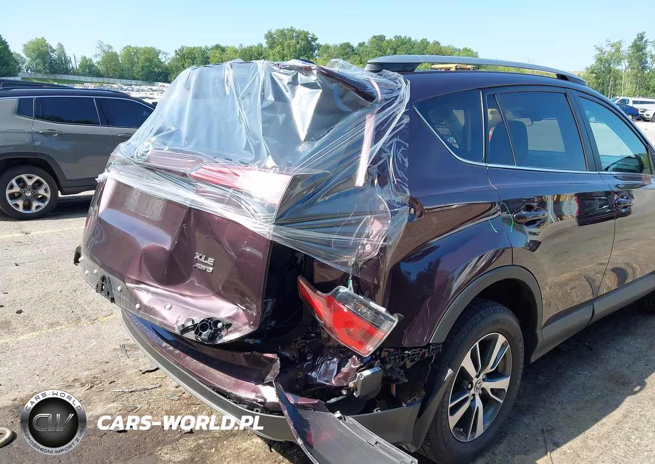 2017 Toyota Rav4 Xle VIN:2T3RFREV6HW679245 - 6