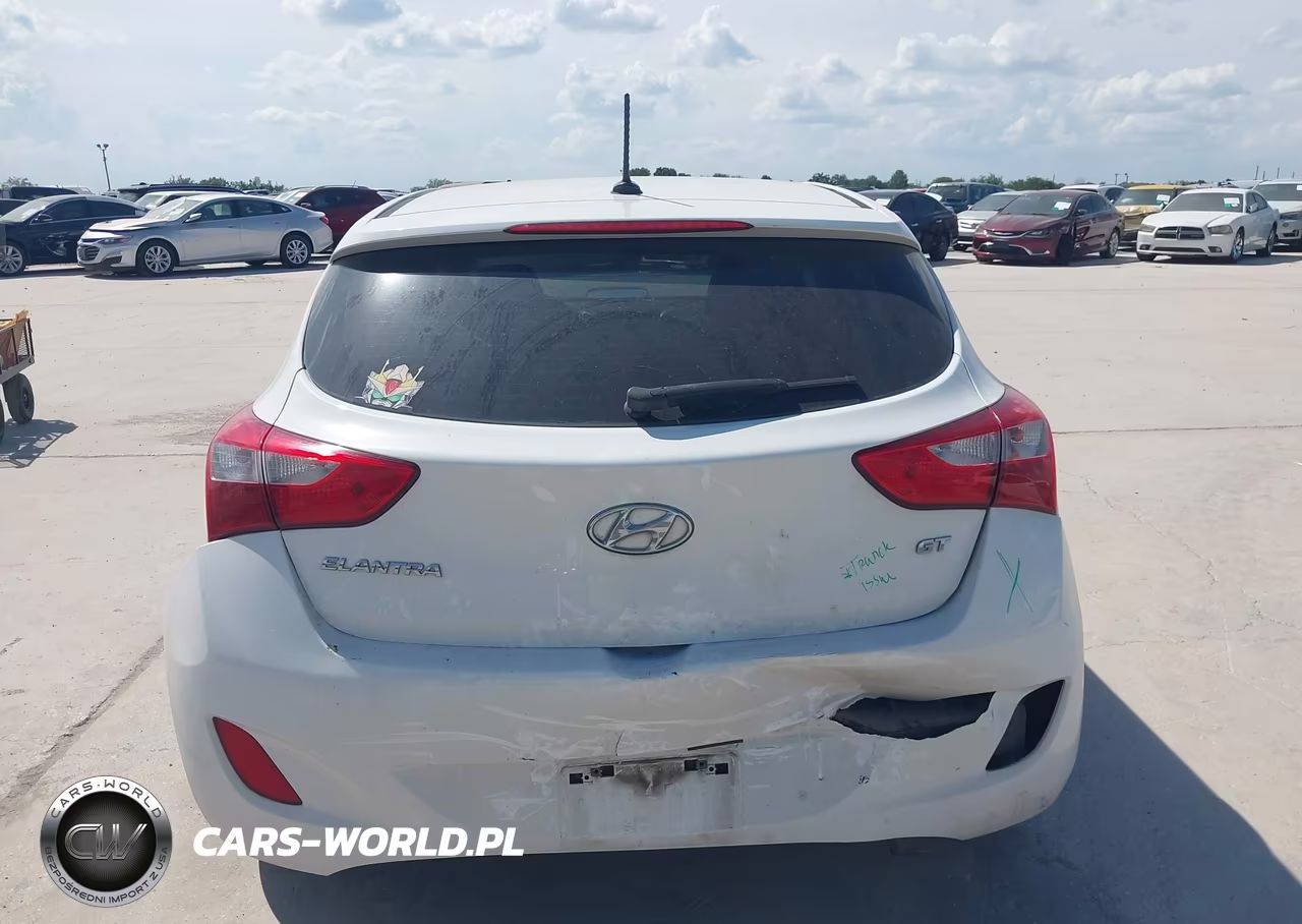 2016 Hyundai Elantra Gt VIN:KMHD35LH4GU323621 - 16