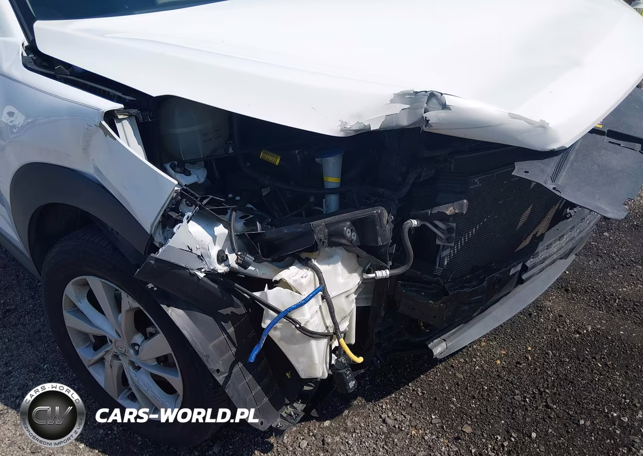 2019 Hyundai Tucson Value VIN:KM8J33A41KU023986 - 6