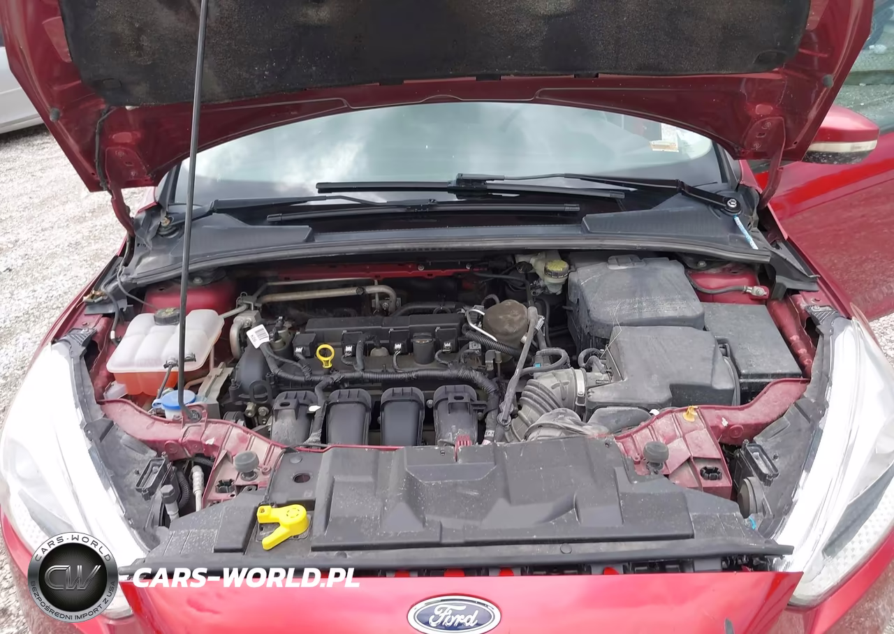 2015 Ford Focus Se VIN:1FADP3F29FL323869 - 10