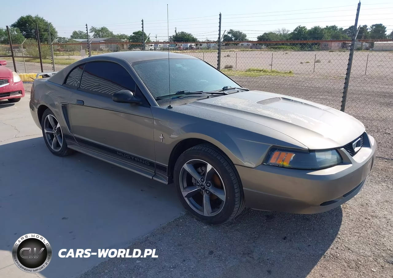 2002 Ford Mustang Deluxe-Premium-Standard