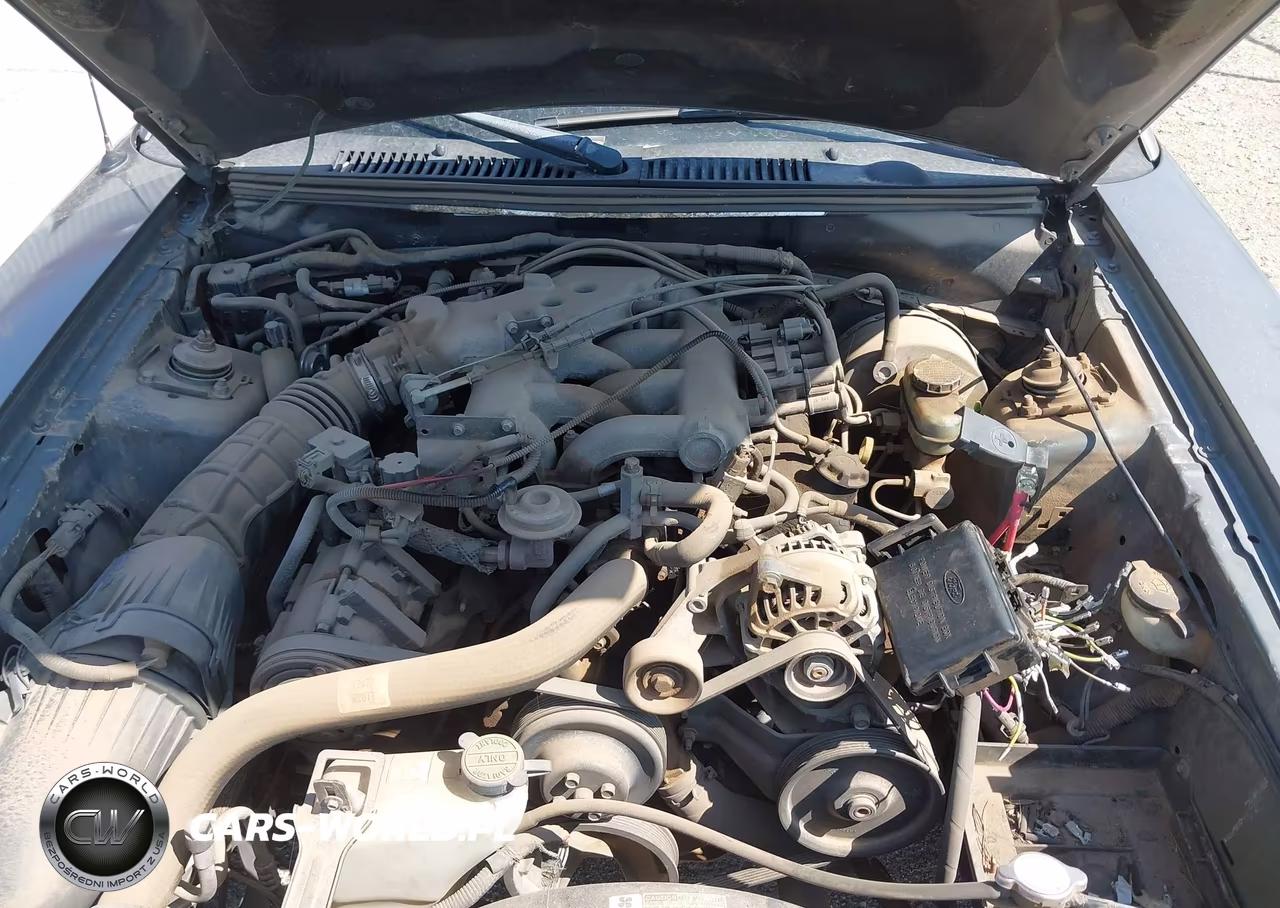2002 Ford Mustang Deluxe-Premium-Standard VIN:1FAFP40452F174765 - 10