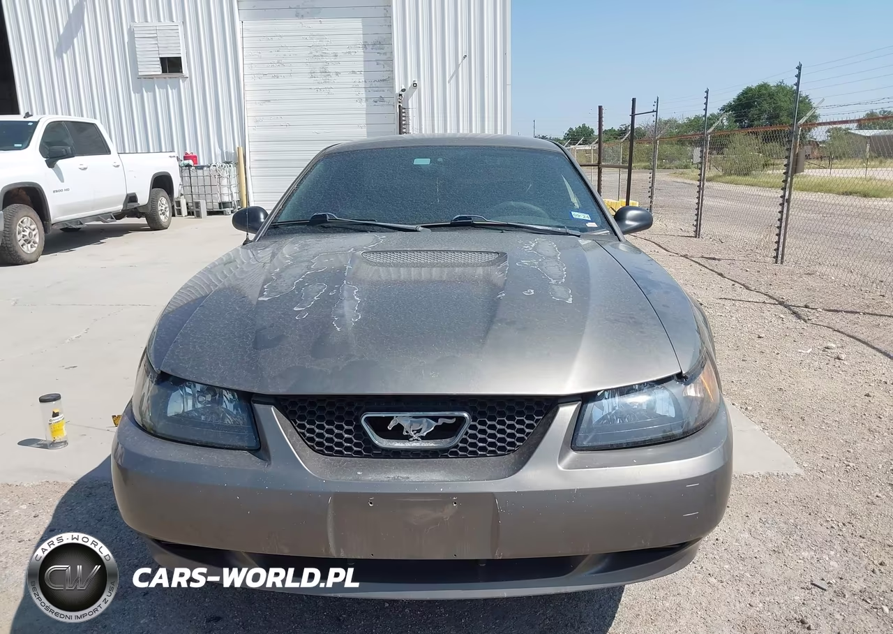 2002 Ford Mustang Deluxe-Premium-Standard VIN:1FAFP40452F174765 - 13