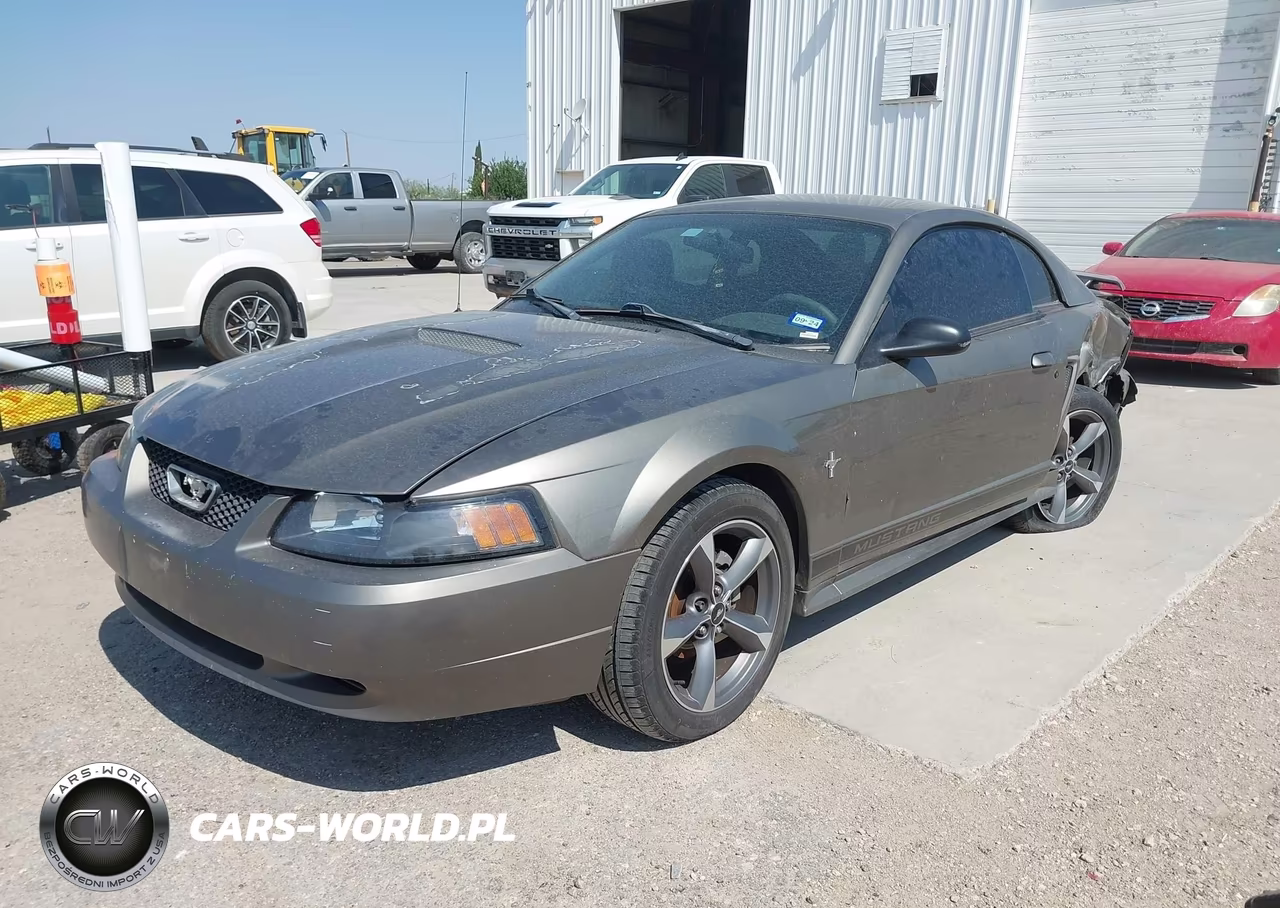 2002 Ford Mustang Deluxe-Premium-Standard VIN:1FAFP40452F174765 - 2