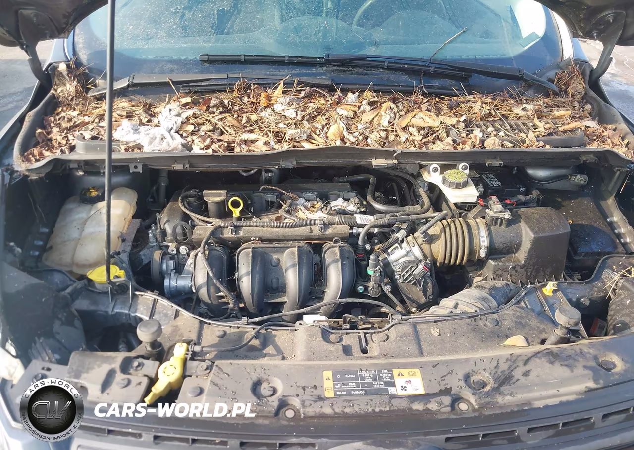 2014 Ford Escape S VIN:1FMCU0F76EUD91639 - 10