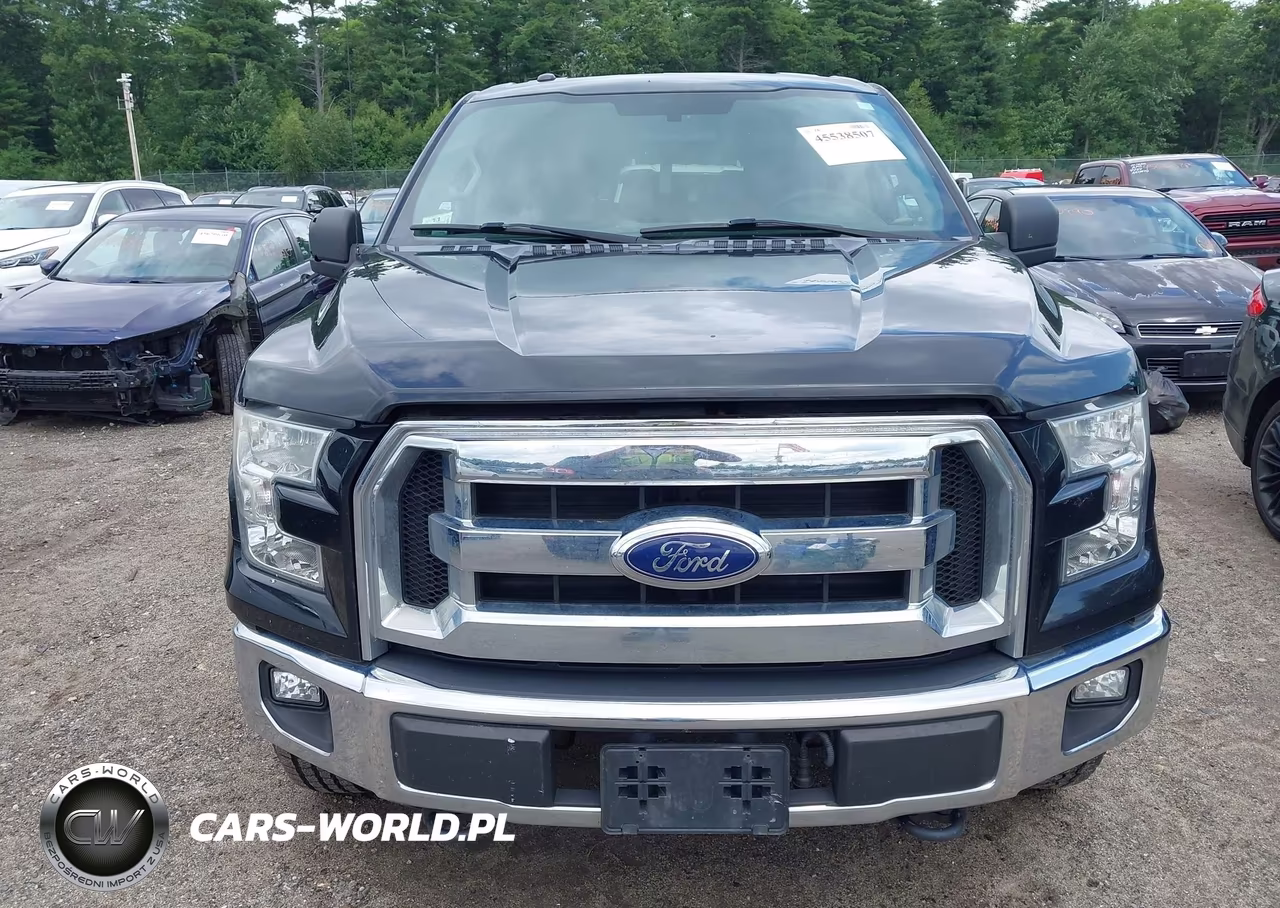 2015 Ford F-150 Xlt VIN:1FTEW1E81FFB02485 - 12