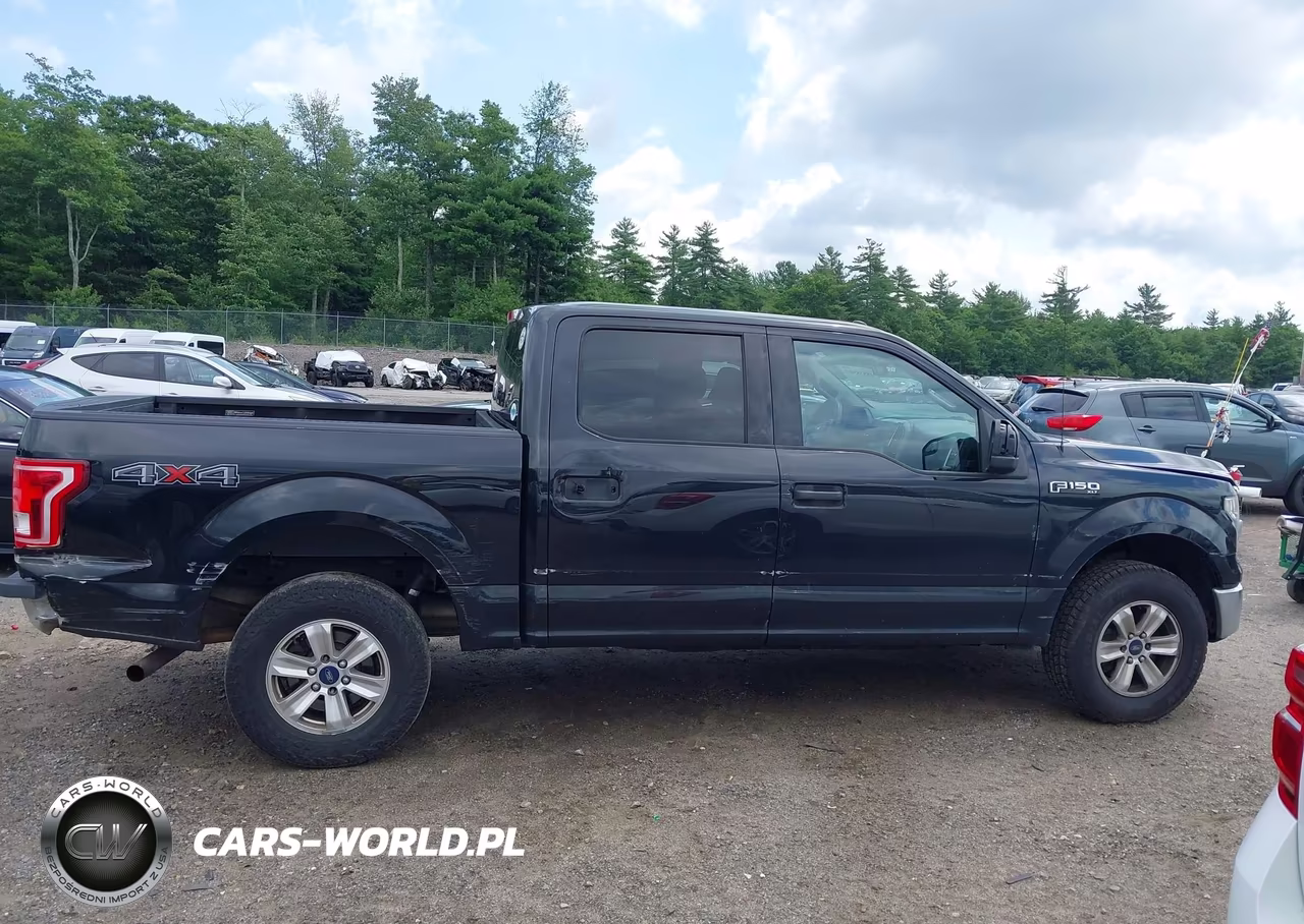 2015 Ford F-150 Xlt VIN:1FTEW1E81FFB02485 - 13