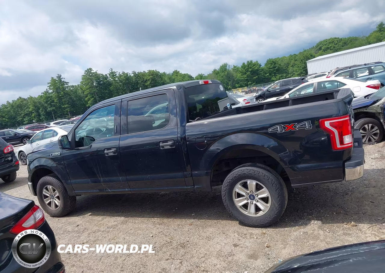 2015 Ford F-150 Xlt VIN:1FTEW1E81FFB02485 - 14