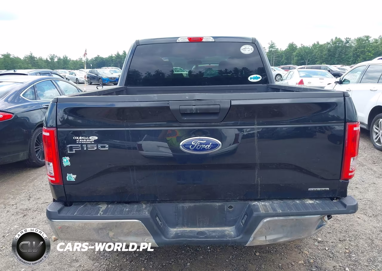 2015 Ford F-150 Xlt VIN:1FTEW1E81FFB02485 - 16