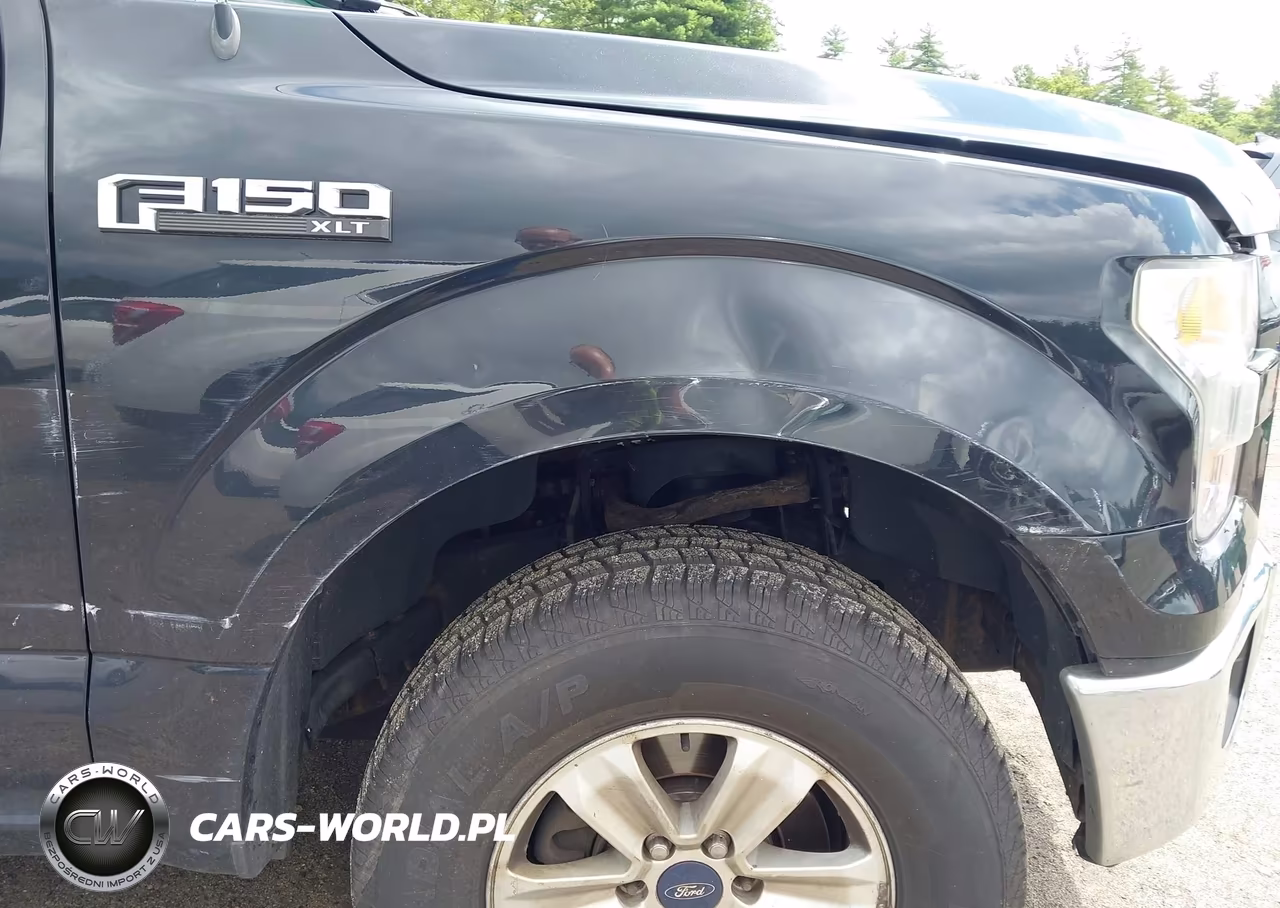 2015 Ford F-150 Xlt VIN:1FTEW1E81FFB02485 - 17