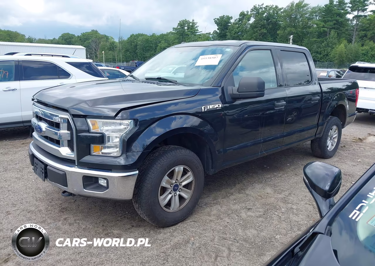 2015 Ford F-150 Xlt VIN:1FTEW1E81FFB02485 - 2