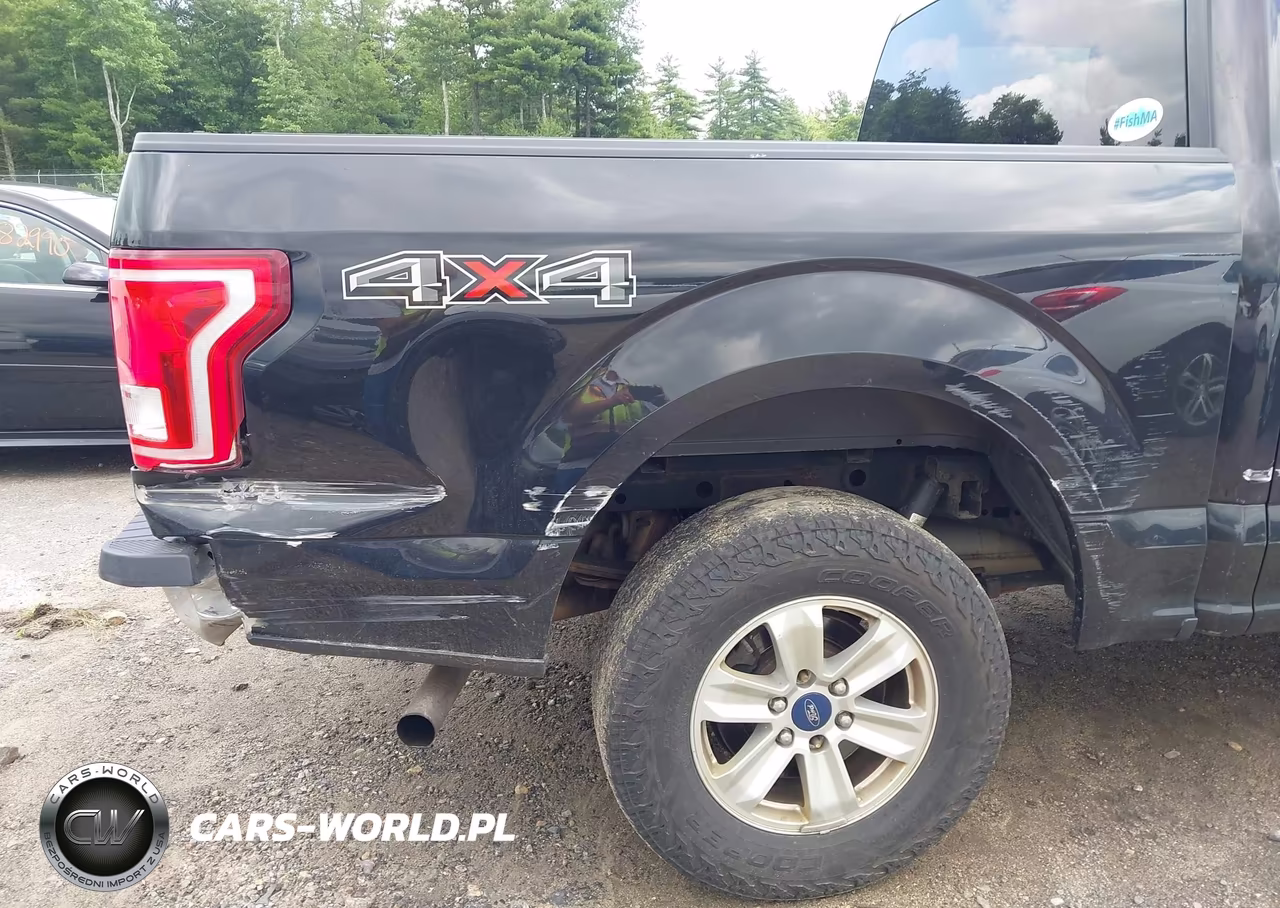 2015 Ford F-150 Xlt VIN:1FTEW1E81FFB02485 - 20