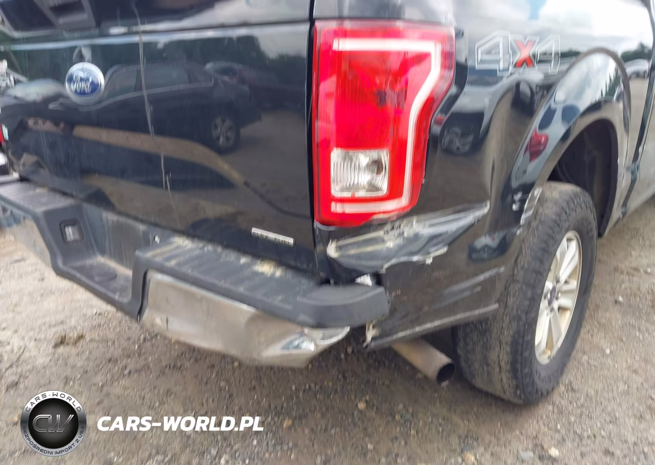 2015 Ford F-150 Xlt VIN:1FTEW1E81FFB02485 - 21