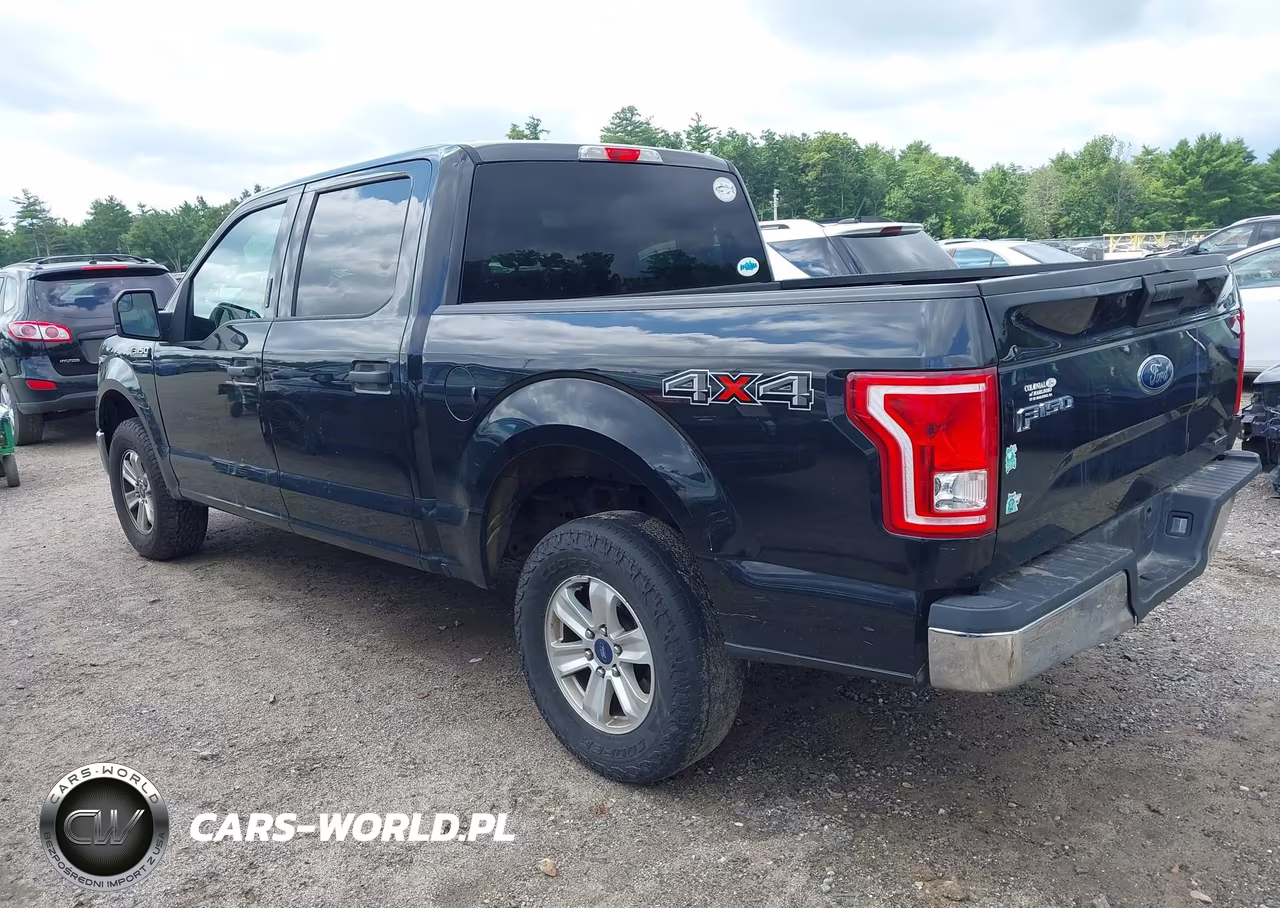 2015 Ford F-150 Xlt VIN:1FTEW1E81FFB02485 - 3