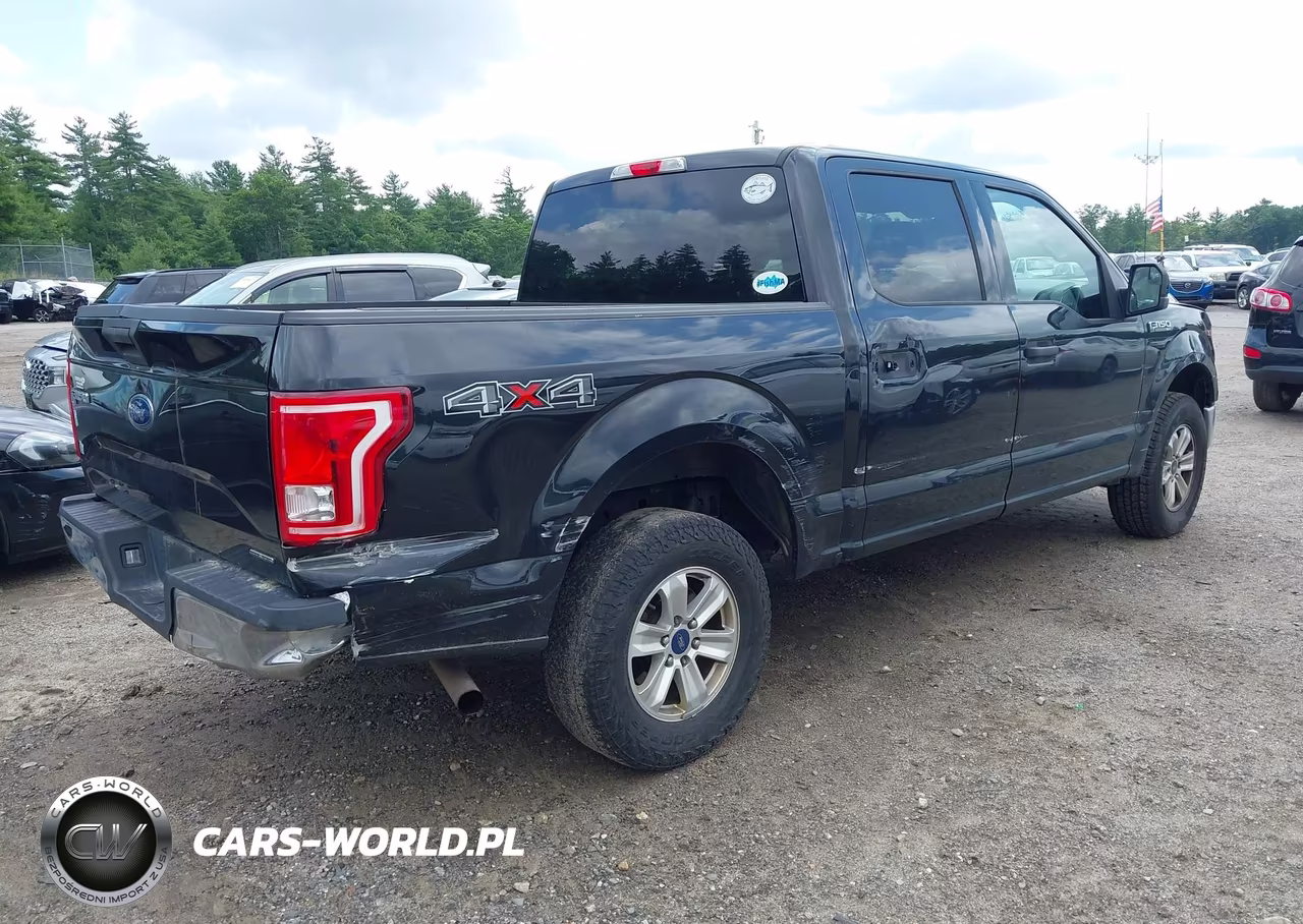 2015 Ford F-150 Xlt VIN:1FTEW1E81FFB02485 - 4