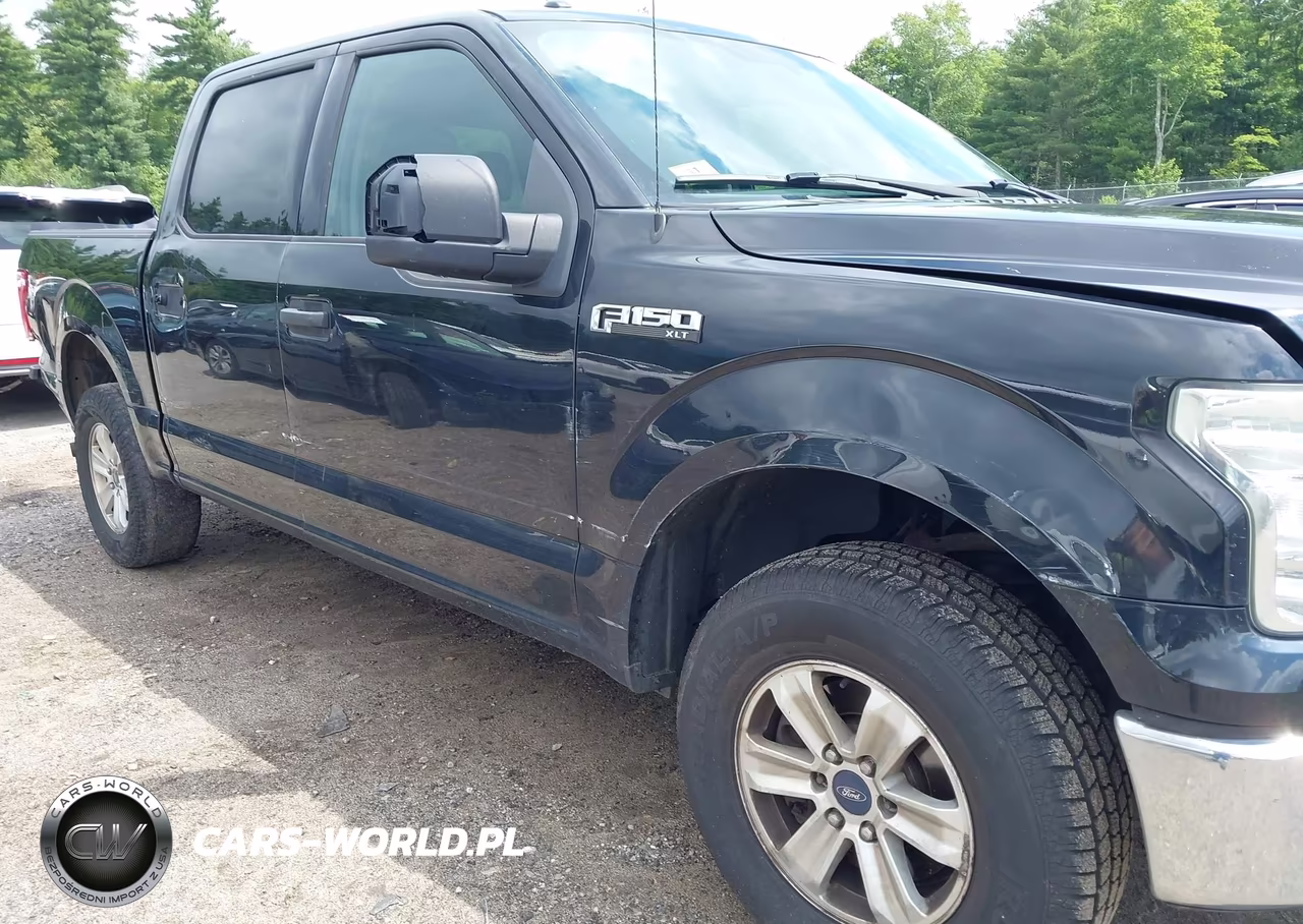 2015 Ford F-150 Xlt VIN:1FTEW1E81FFB02485 - 6