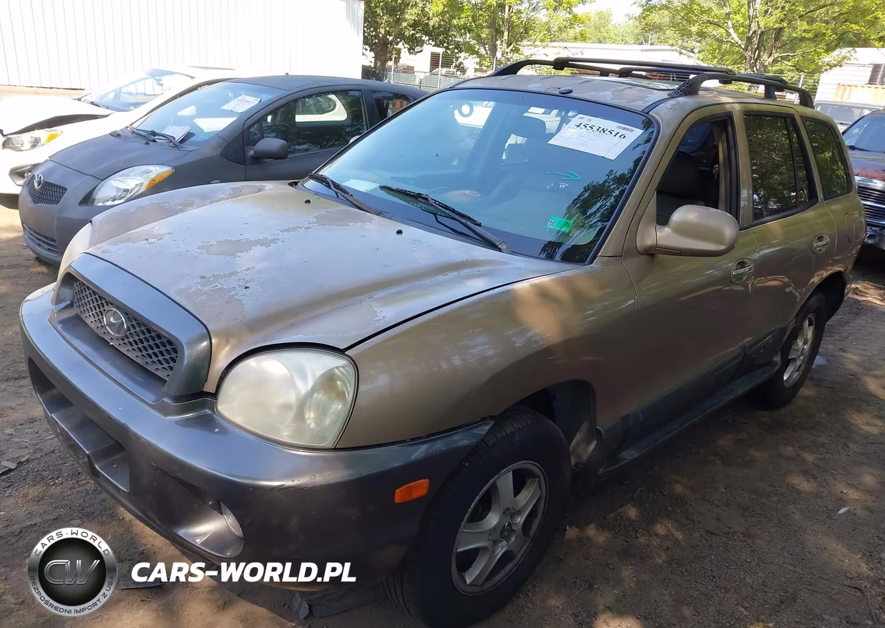 2003 Hyundai Santa Fe Gls-Lx VIN:KM8SC73D23U411495 - 2