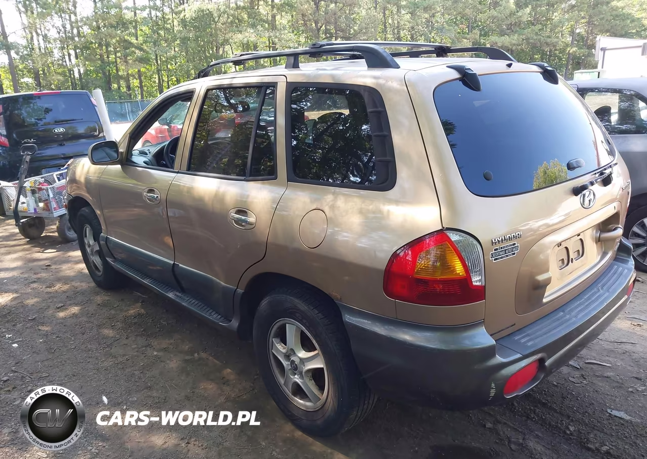 2003 Hyundai Santa Fe Gls-Lx VIN:KM8SC73D23U411495 - 3