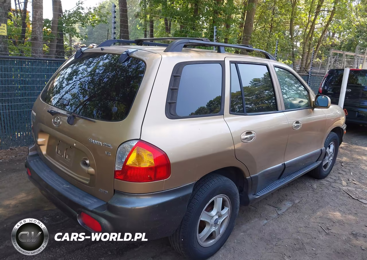 2003 Hyundai Santa Fe Gls-Lx VIN:KM8SC73D23U411495 - 4