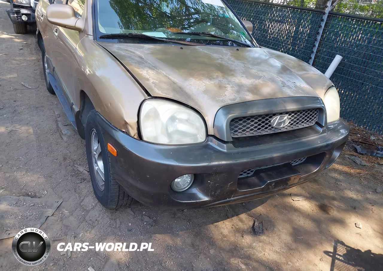 2003 Hyundai Santa Fe Gls-Lx VIN:KM8SC73D23U411495 - 6