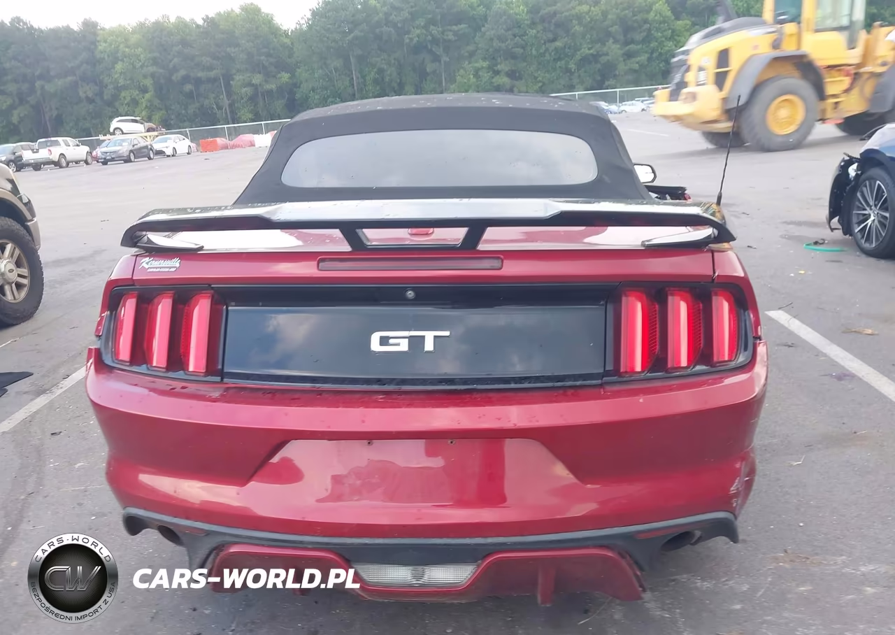 2015 Ford Mustang Gt Premium VIN:1FATP8FF5F5431597 - 16