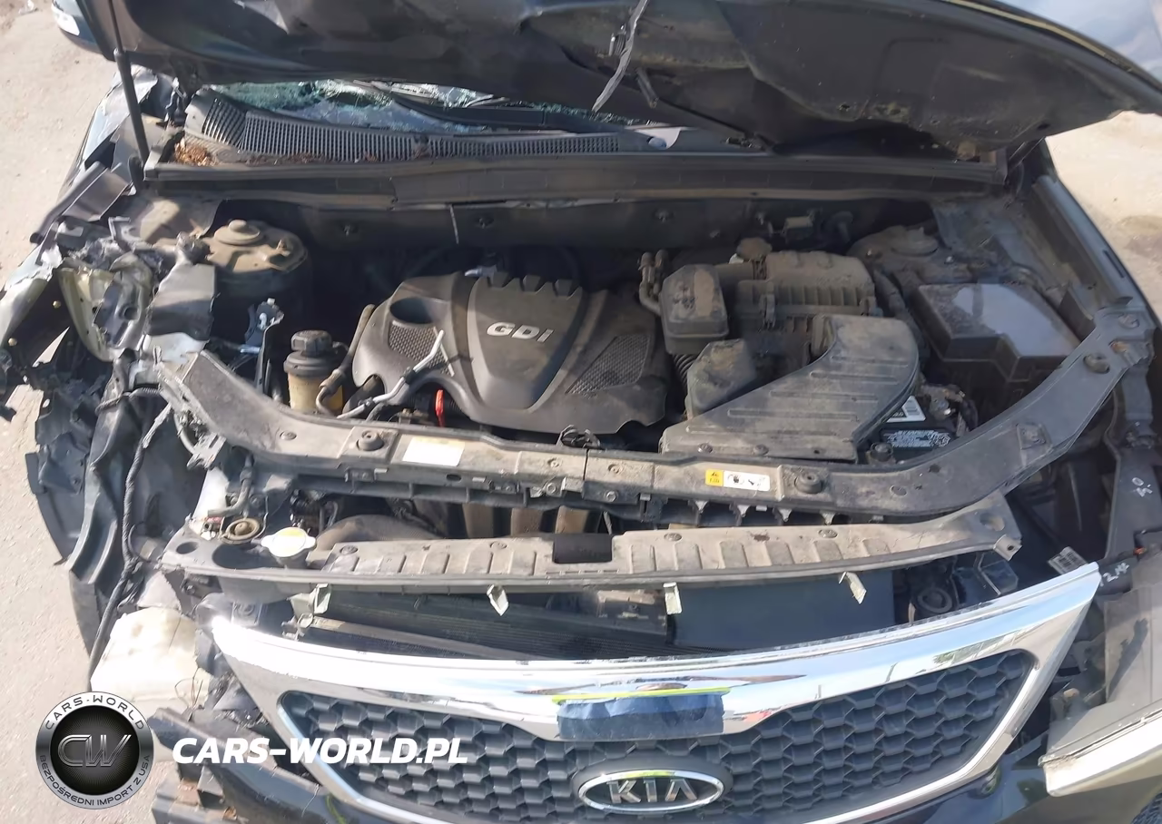 2013 Kia Sorento Lx VIN:5XYKT3A61DG416417 - 10