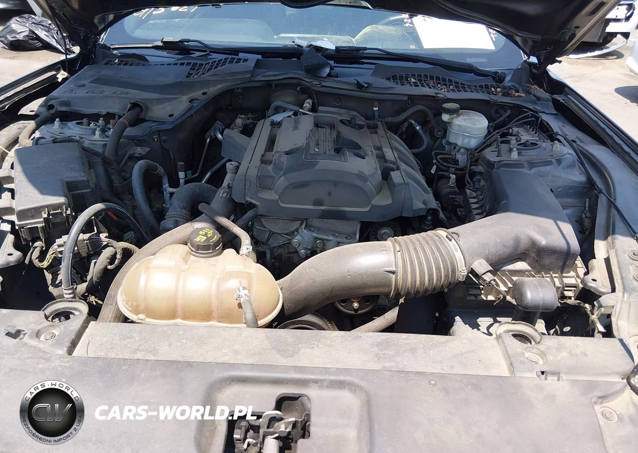 2015 Ford Mustang Ecoboost VIN:1FA6P8TH4F5365627 - 10