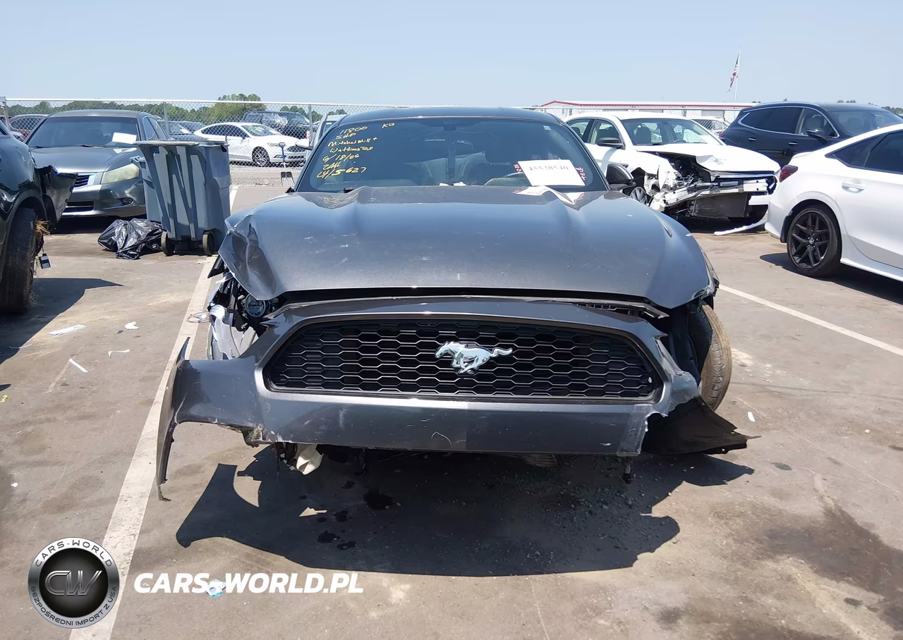 2015 Ford Mustang Ecoboost VIN:1FA6P8TH4F5365627 - 13