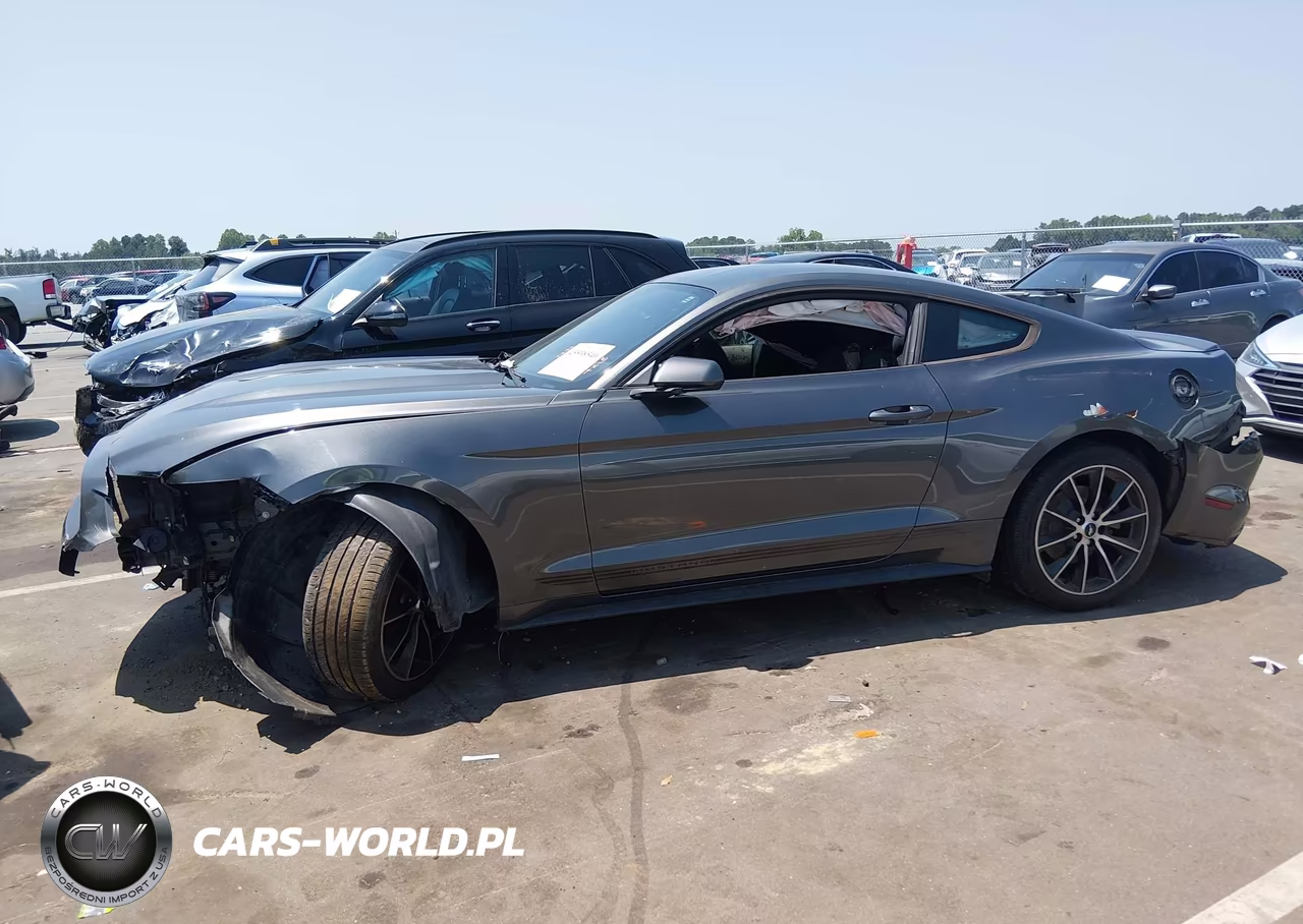 2015 Ford Mustang Ecoboost VIN:1FA6P8TH4F5365627 - 15