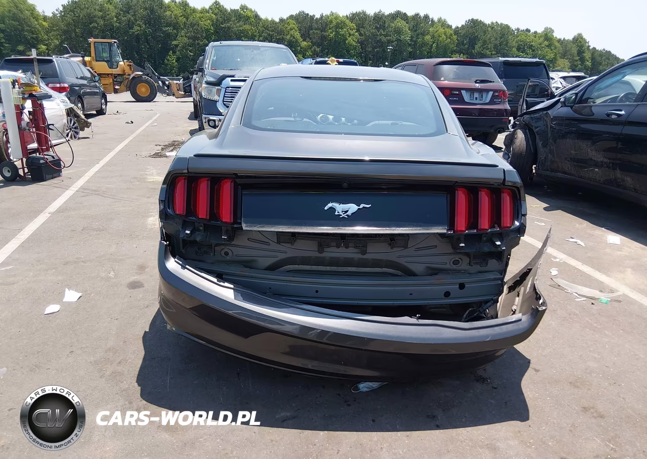2015 Ford Mustang Ecoboost VIN:1FA6P8TH4F5365627 - 17