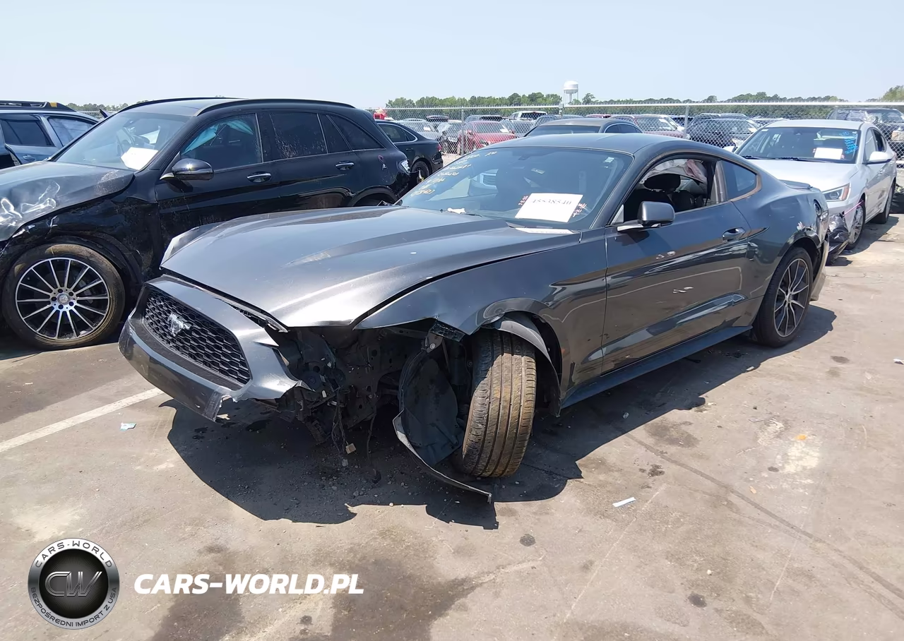 2015 Ford Mustang Ecoboost VIN:1FA6P8TH4F5365627 - 2