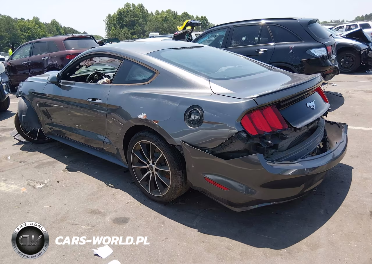 2015 Ford Mustang Ecoboost VIN:1FA6P8TH4F5365627 - 3