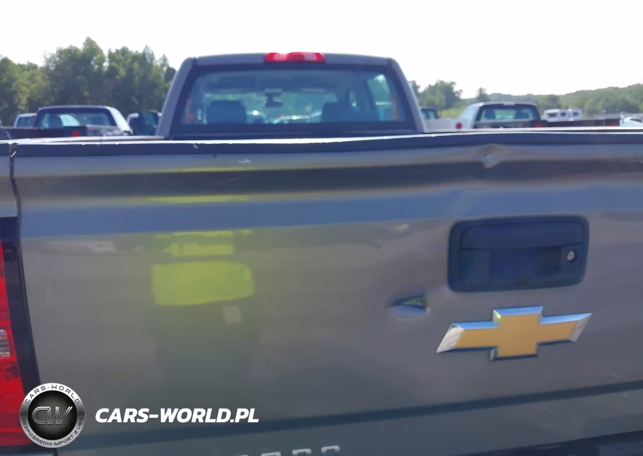 2017 Chevrolet Silverado 3500Hd Work Truck VIN:1GC4KYCGXHF184942 - 6