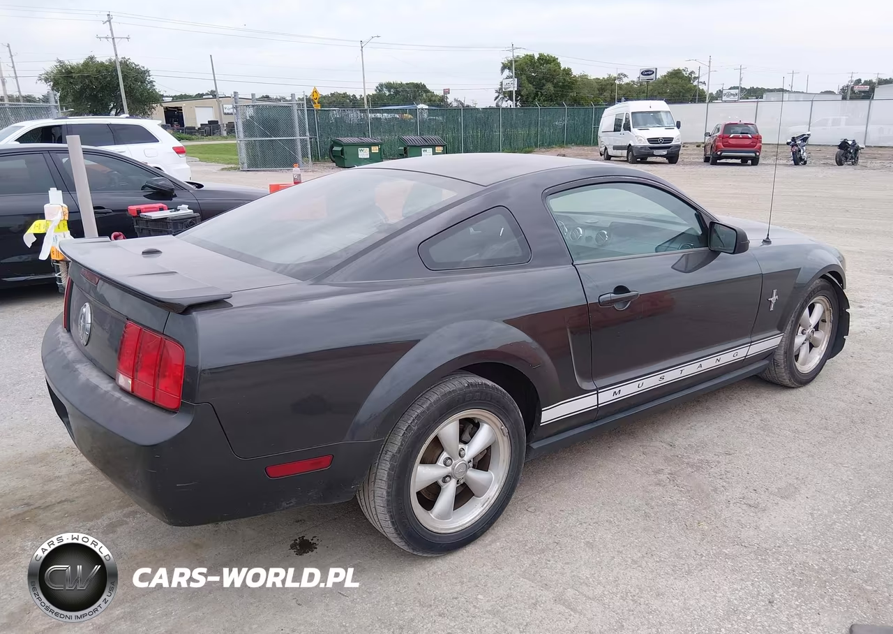 2008 Ford Mustang V6 Deluxe-V6 Premium VIN:1ZVHT80N385139264 - 4