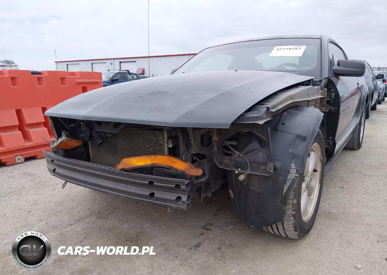 2008 Ford Mustang V6 Deluxe-V6 Premium VIN:1ZVHT80N385139264 - 6