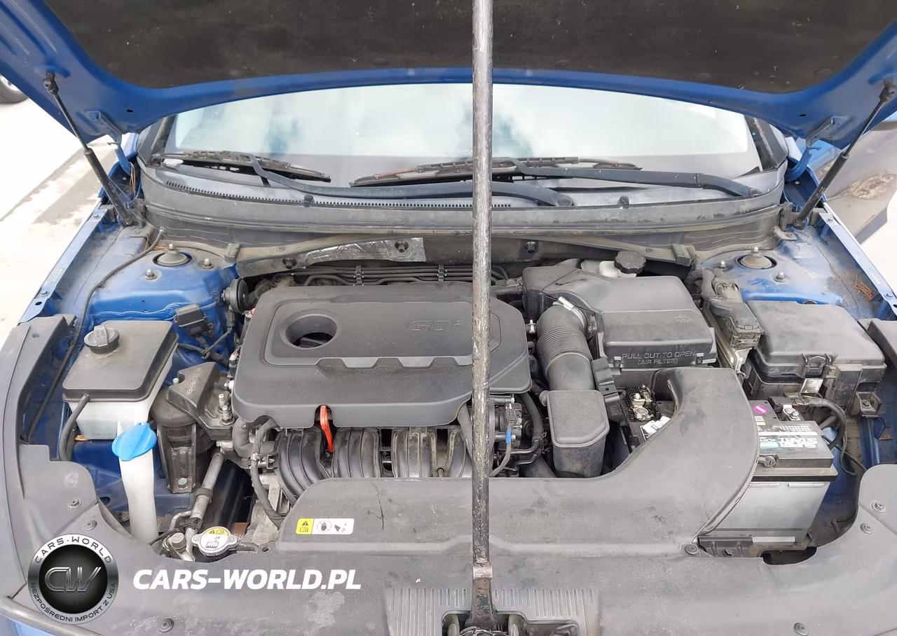 2016 Hyundai Sonata Se VIN:5NPE24AF2GH360314 - 10