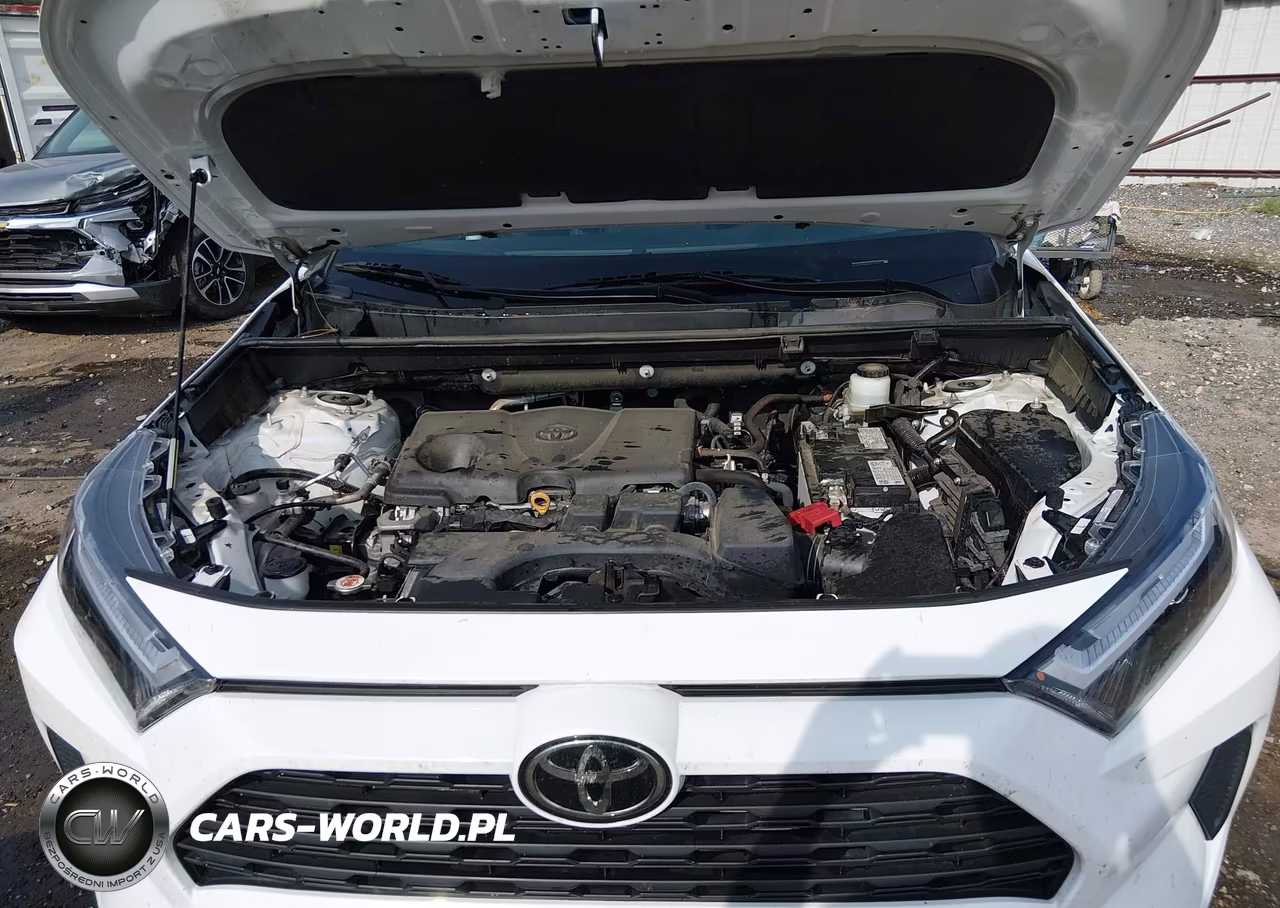 2024 Toyota Rav4 Xle VIN:2T3W1RFV3RW329590 - 10