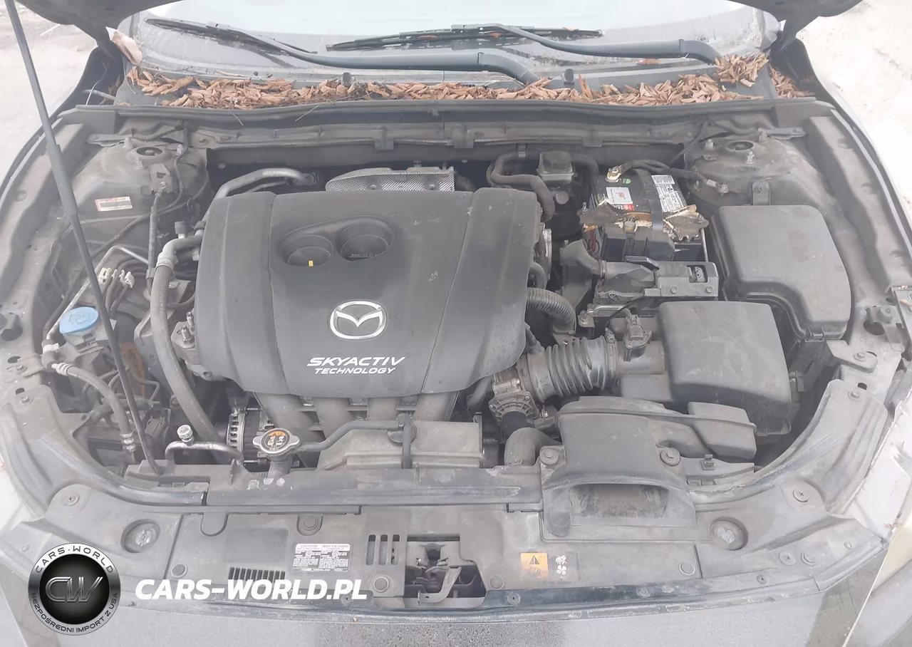 2014 Mazda Mazda3 I Touring VIN:JM1BM1V75E1112741 - 10