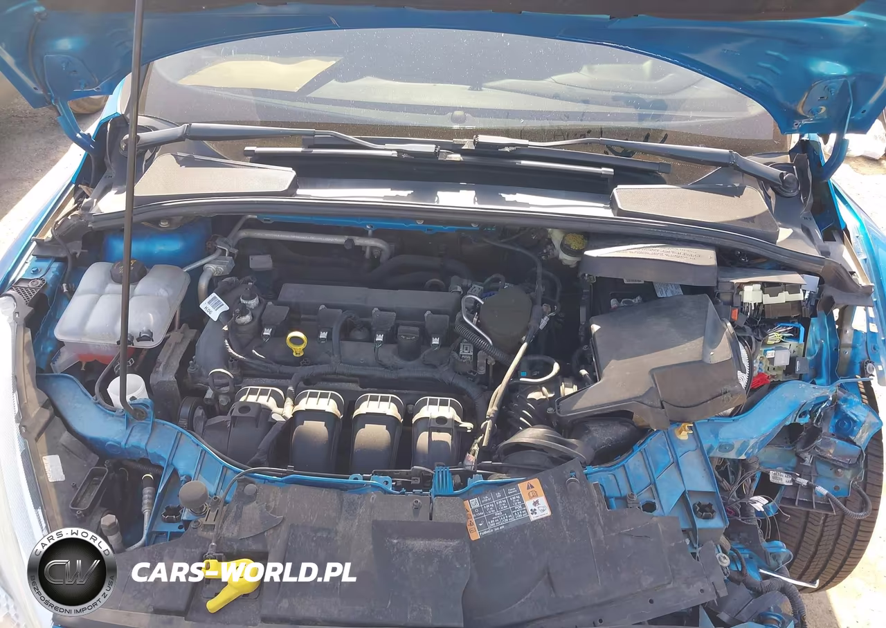 2016 Ford Focus Se VIN:1FADP3F2XGL257804 - 10