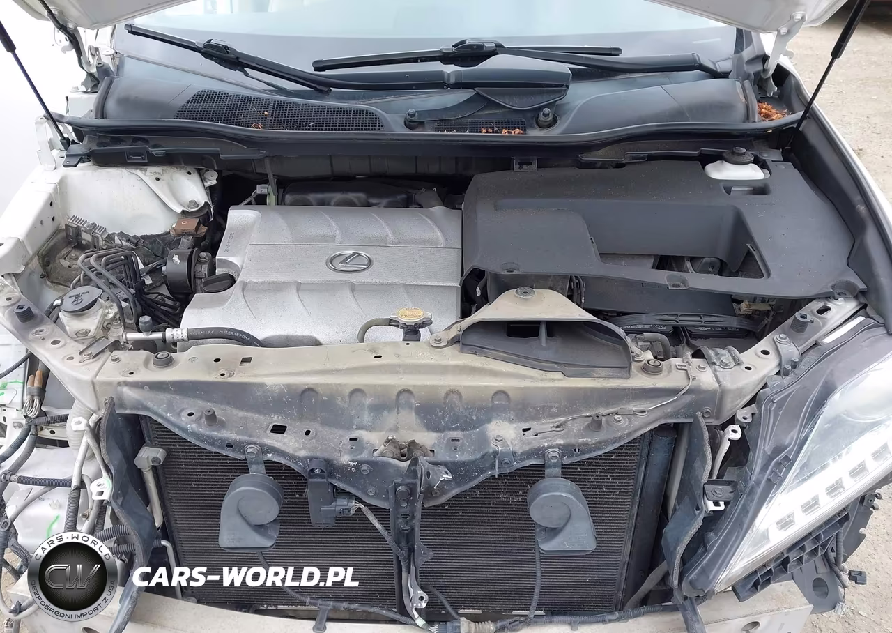 2013 Lexus Rx 350 F Sport VIN:2T2BK1BA9DC164420 - 10